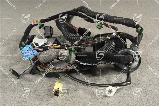 Wiązka instalacji elektrycznej drzwi pasażera, Bose, 2 piny, R