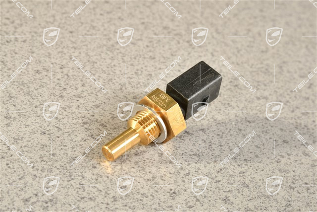 Temperature sensor