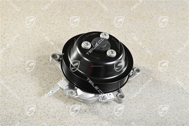 Water pump, complete with pulley