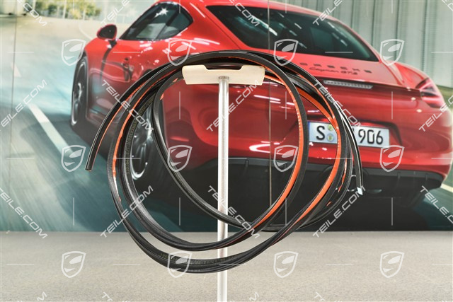 Uszczelka tylnej szyby