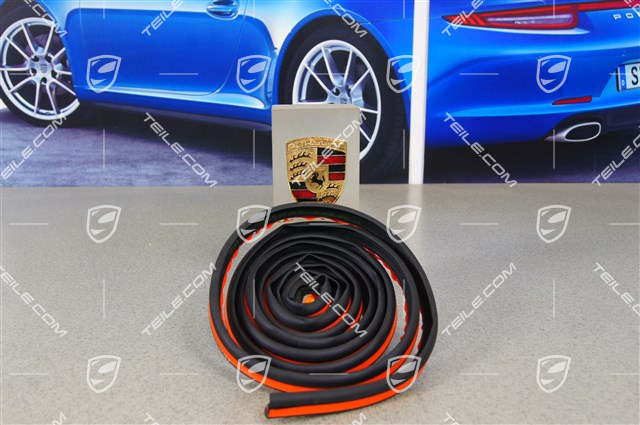 Frontscheibendichtung