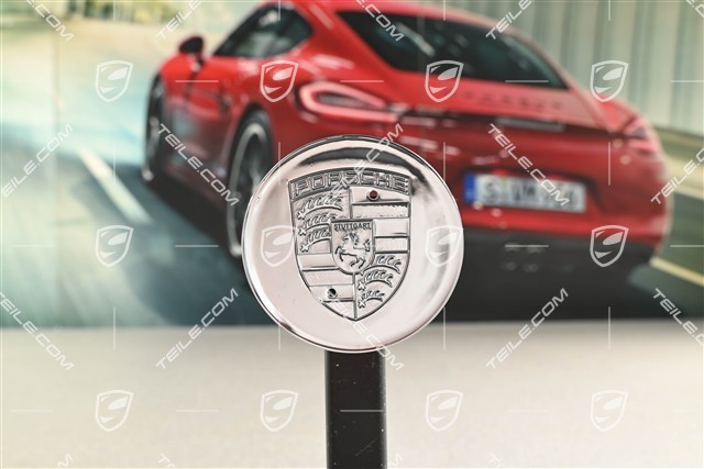 Center cap, special edition Millennium