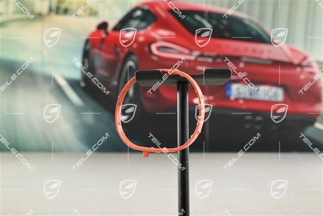 Dichtring für Ansaugverteiler Verteilerrohr, GTS 4.0 / GT4, L=R