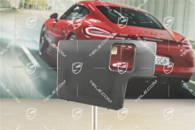 Abdeckung, Türfeststeller, Turbo / GT3, R