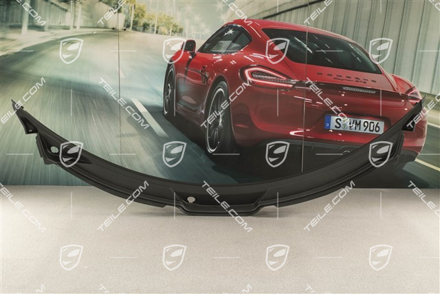 Abdeckung Wasserkasten / Strinwand Verkleidung, RHD