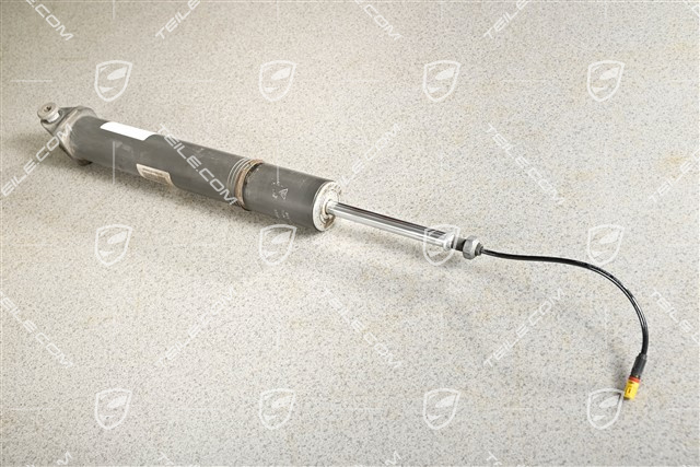 Stossdämpfer, HA, Elektr. Dämpferregelung PASM / PASM, Sportfarhwerk, L=R