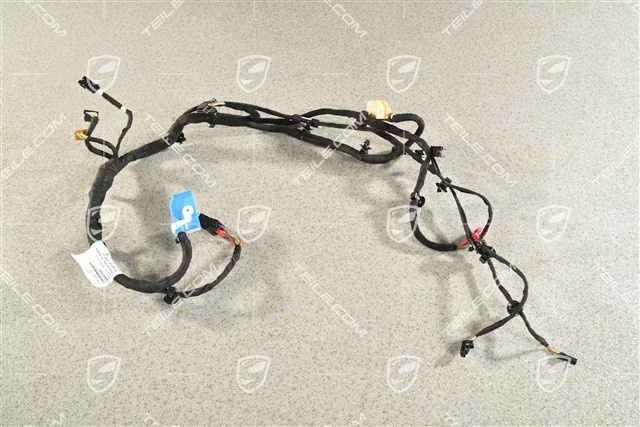 Kabelstrang, Türtafel, Fahrertür, BOSE, L