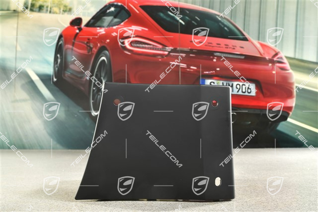 Front Wing / Fender cover / moulding, R