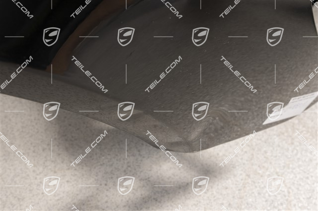 Wing, a little damaged, R