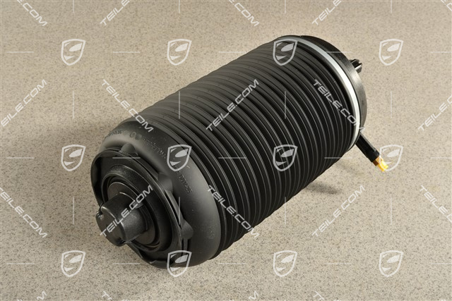 Luftfeder, hinterachse, PASM, R