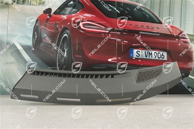 Dashboard defroster trim / cover, Stone grey, L