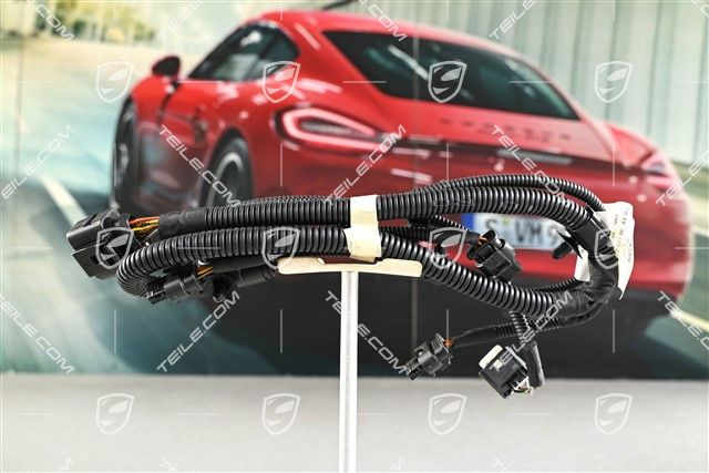 4 GTS / Turbo, Stossfänger vorne, Kabelstrang, PDC / Parkassistent / Einparkhilfe