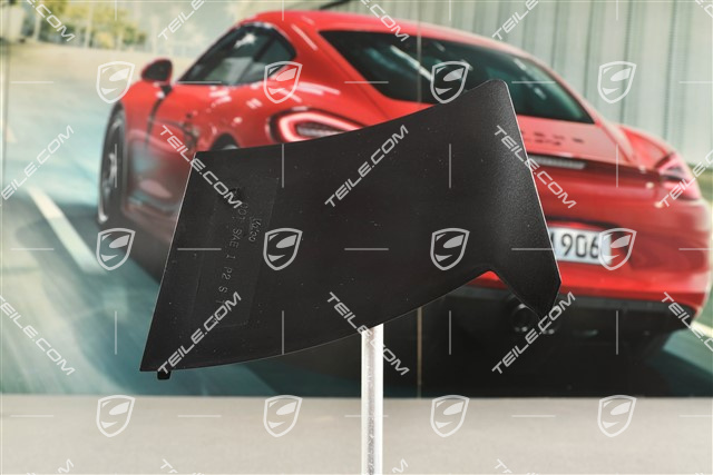 Rear light cover, outer, USA, R