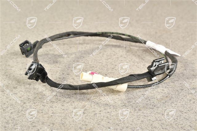 Wiring harness for Real Top View camera, front
