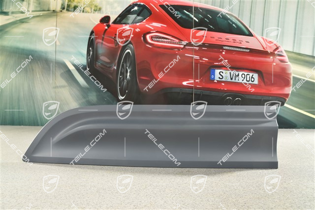 Rear door cover / trim, L