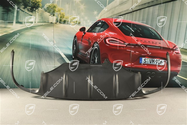 Rear bumper Cover / diffuser, prepared for stainless steel cover