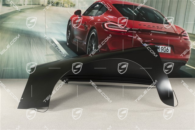 B T5, Front wing / Fender, R