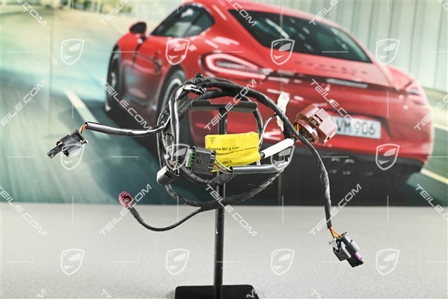 Wiring harness Drivers side, Turbo, L