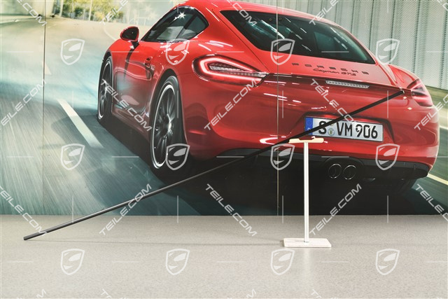 Zierleiste, Vordertür, Schwarz / Turbo, L