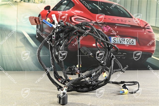 Wiring harness front bumper, Extended and crash-active pedestrian protection, RHD