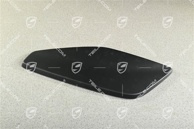 Wing end plate / Cover trim side part, spoiler wing, L