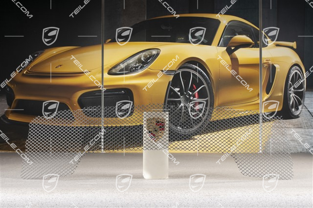 Lufteinlassgitter, 911R