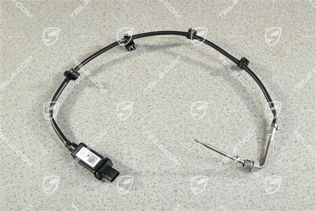 Spyder, Exhaust gas temperature sensor / sender