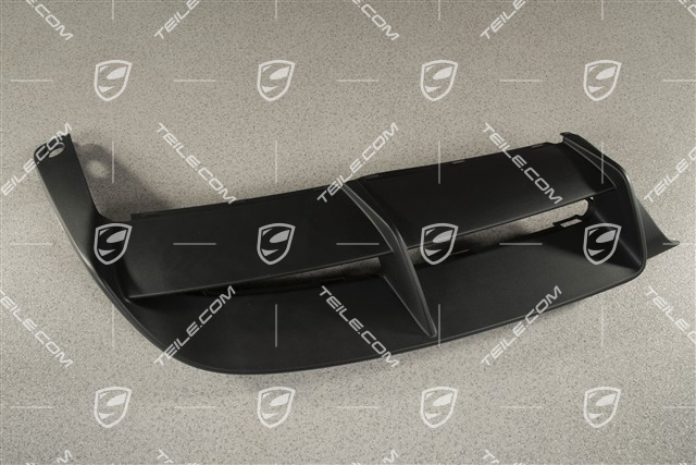 Lining rear, lower, GT4, R