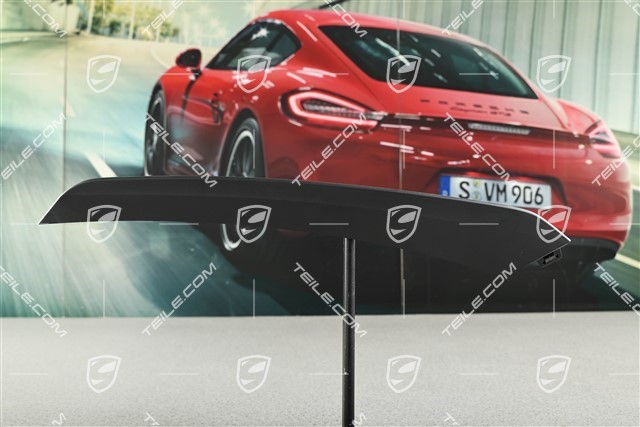 Turbo, Disc / cover lower for front bumper retaining frame, Black, L