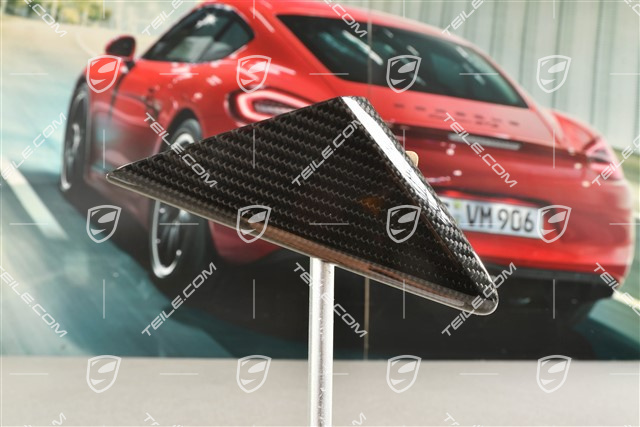Abdeckung, Fensterfuehrung, carbon, R