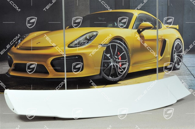 GT3 Heckspoiler / Heckflügel, Oberteil