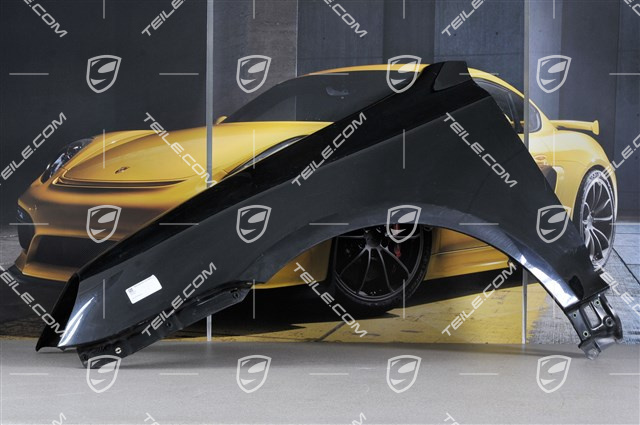 Błotnik, L Błotnik, L