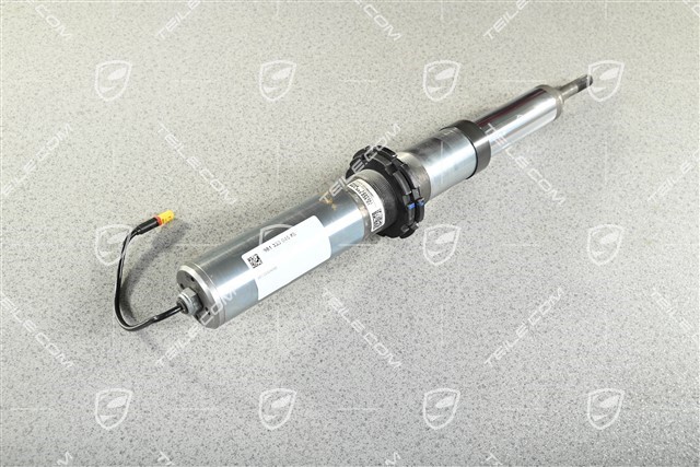 Schwingungsdämpfer, PASM, Hinterachse, GT4, L=R