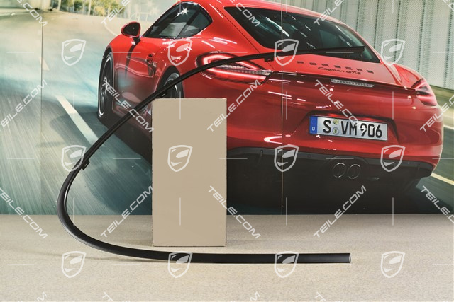 Zierleiste, seitlich, hinten, Schwarz matt, R