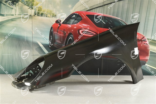 Wing, damaged, L