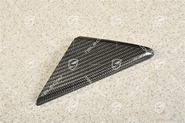 Abdeckung, Fensterfuehrung, carbon, R