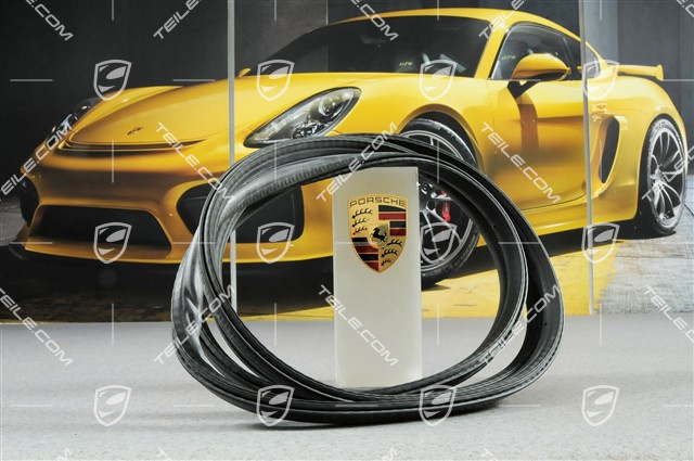Dichtung hinten Targa Dichtung hinten Targa