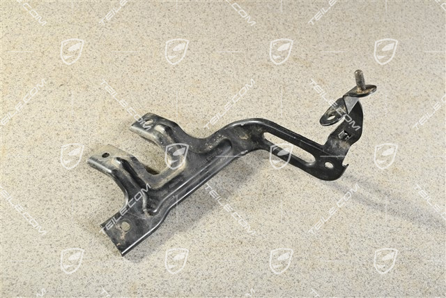 Halter, L