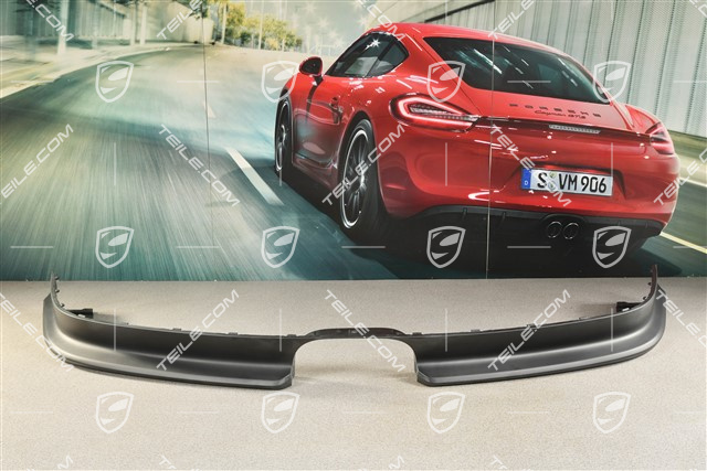 GT3RS lining rear, lower part