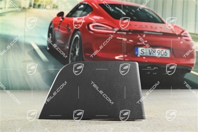 Abdeckung, Schwellerblende, Vorne, Schwarzmatt, R