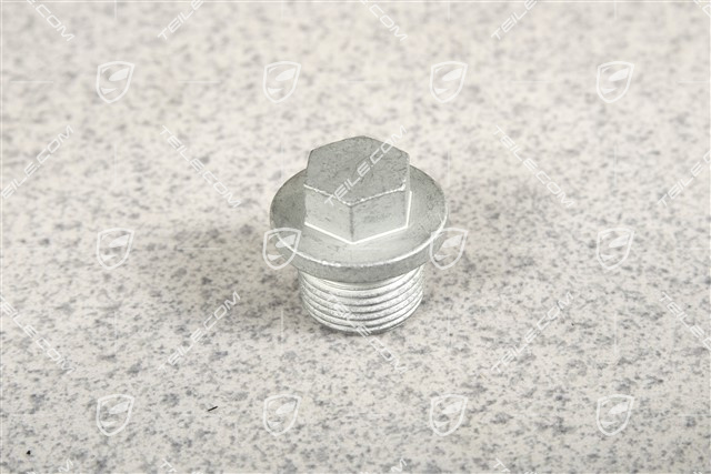 Turbo / GT3 Screw plug