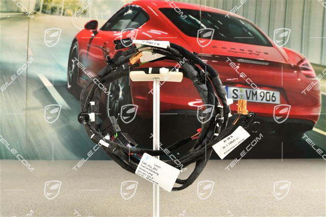 Wiring harness / Bose soundpackage