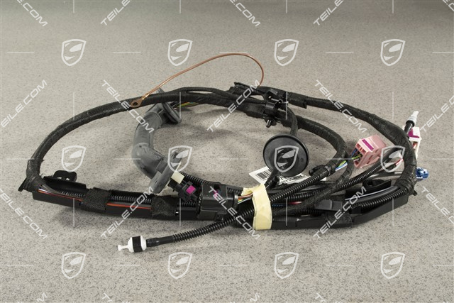 Wiązka instalacji elektrycznej tylnej klapy, DAB / Real Top View, L