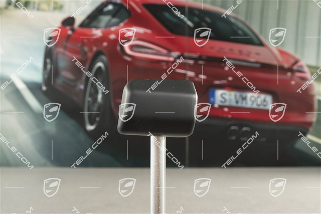 Türverkleidung Zuziehgriff, Abdeckblende, Hinten, Schwarz, L