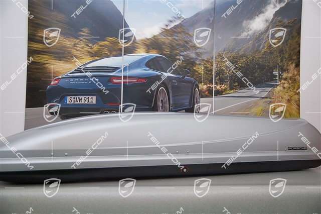 Dachbox, schmal, 300L, silbern, mit Skiträger