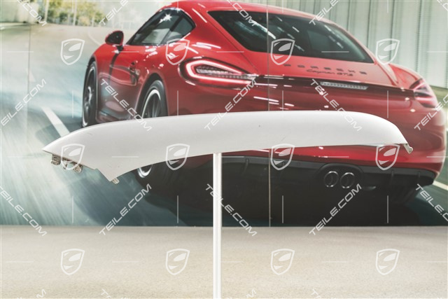 4 / 4S Facelift, Disc / cover lower for front bumper retaining frame, Titanium metallic, R