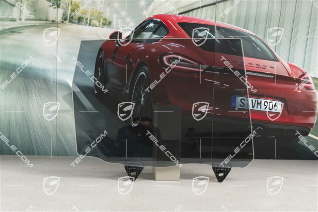 Szyba drzwi tylnych, metalizowana, R