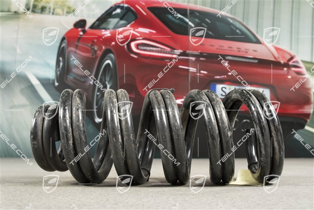 Schraubenfeder, HA, Turbo, Cabrio, 6 Gang Schaltergetriebe, KENN Gold/Silber, L+R