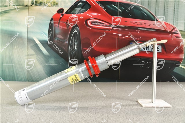 GT3 / R, Stossdämpfer / Schwingungsdämpfer, VA, CUP L=R