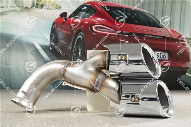 Sports Tailpipe of polished stainless steel, 4-pipe look, L